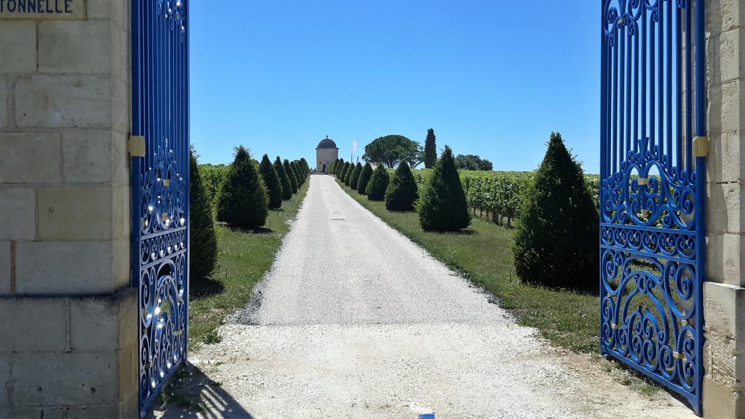 Weinchateau in Saint Emilion