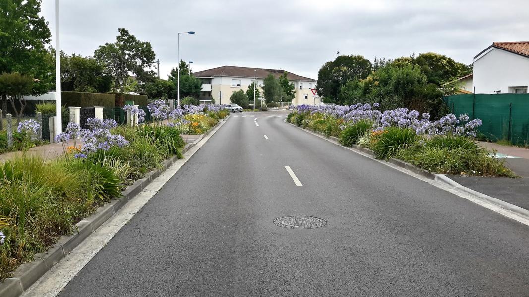 Auf der Fahrt nach Gujan-Mestras