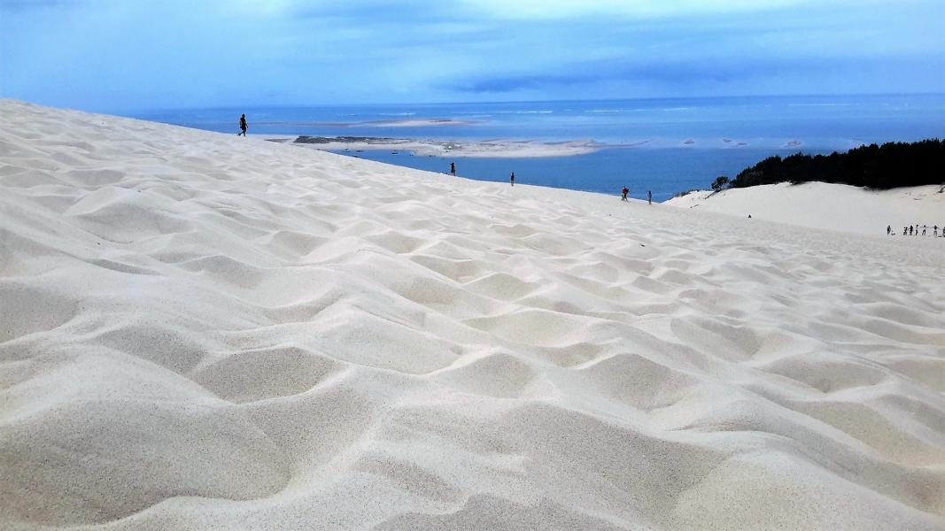 Blick auf die Sandbänke