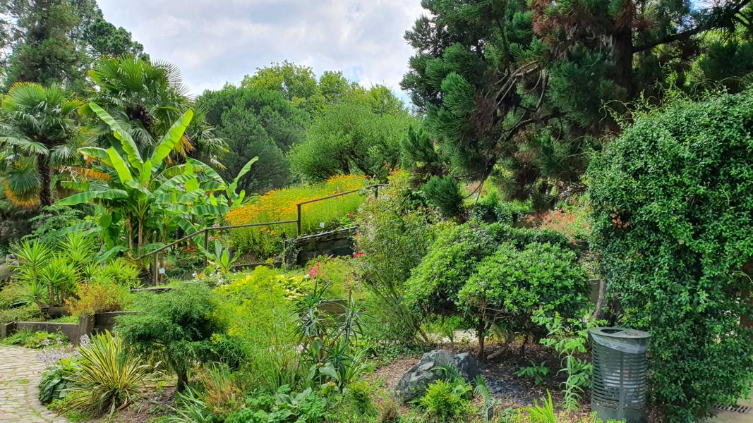 Botanischer Garten von Bayonne