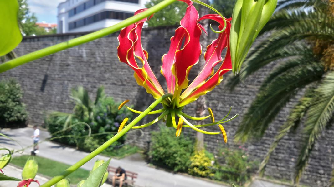 Botanischer Garten von Bayonne