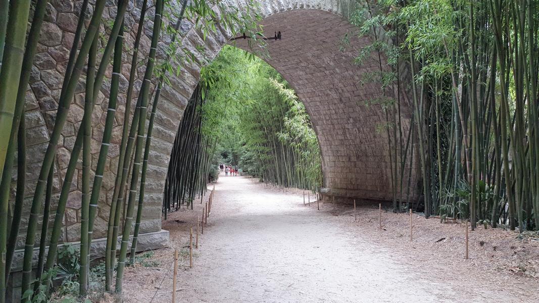 Hauptweg in den Bambusgarten.