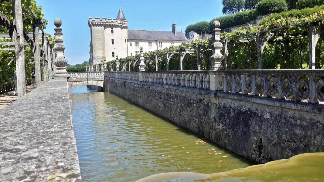 Wassergarten