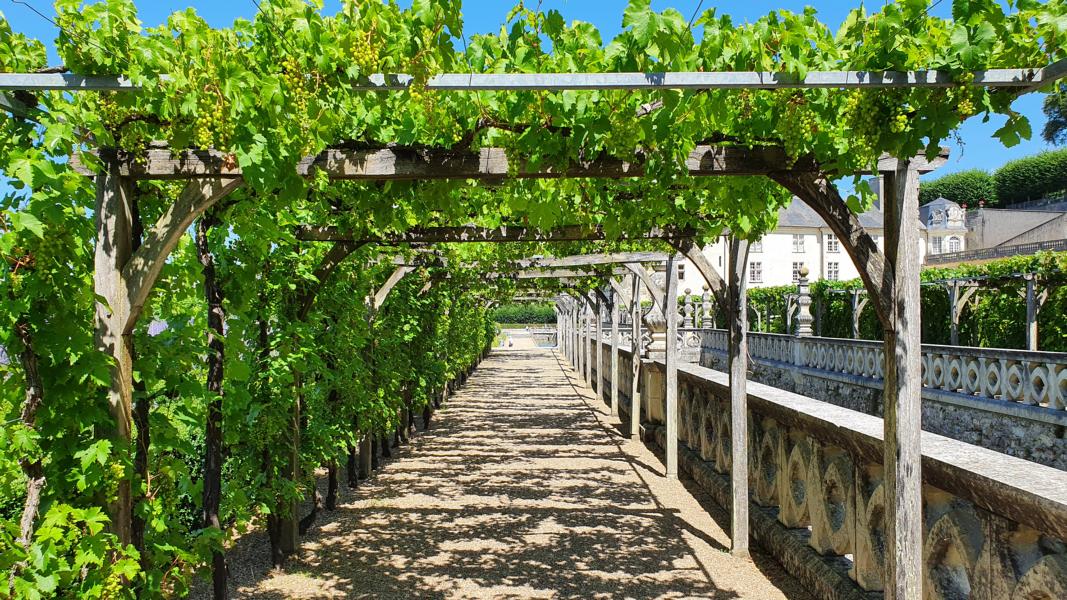 Laubengang am Wassergarten