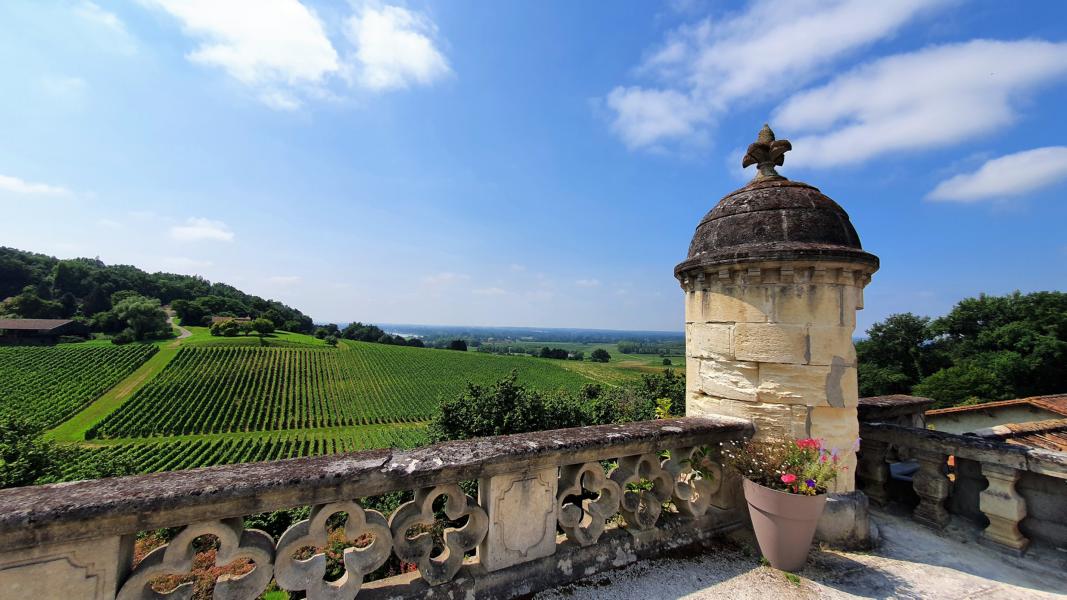 Mit über 65 Hektar Rebfläche ist es das größte Weingut in der Appellation Fronsac.