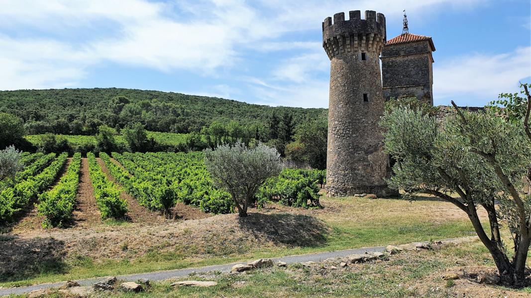 Klostergelände mit Weinbergen