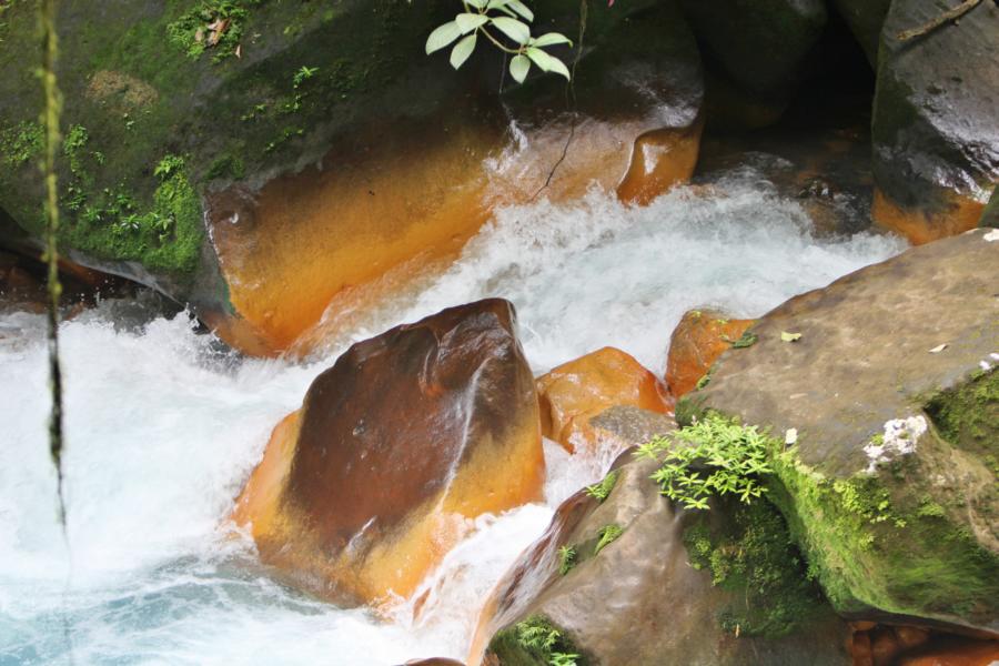 Die Braunfärbung der im Fluss liegenden Steine entsteht durch eisenhaltige Mineralien.