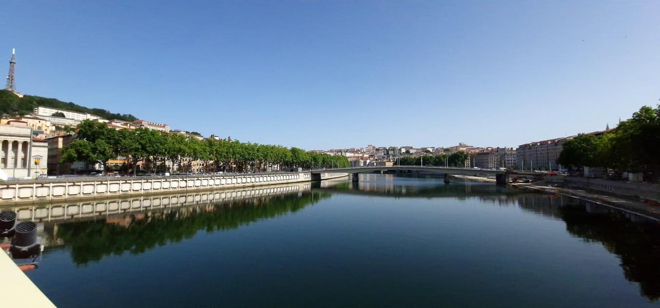 Rhone in Lyon