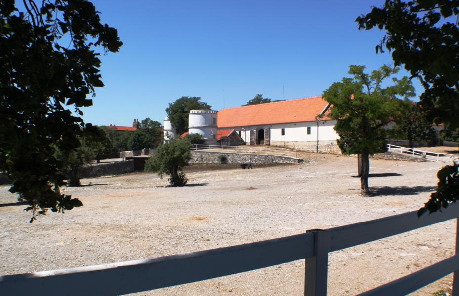 Das Gestüt Lipica ist das Urgestüt der Lipizzanerrasse und anerkanntes Zuchtinstitut.