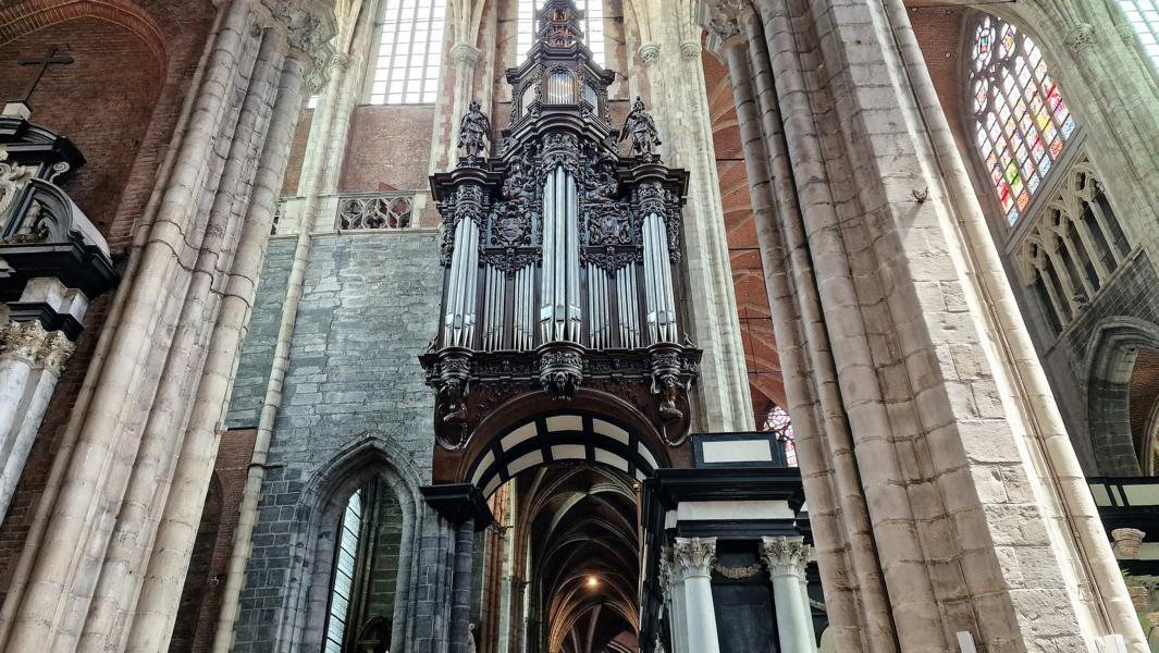 Orgel in der St. Bavos-Kathedrale