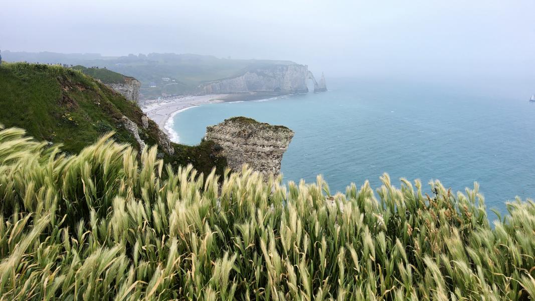 Blick von den Klippen auf den Ort d Etretat