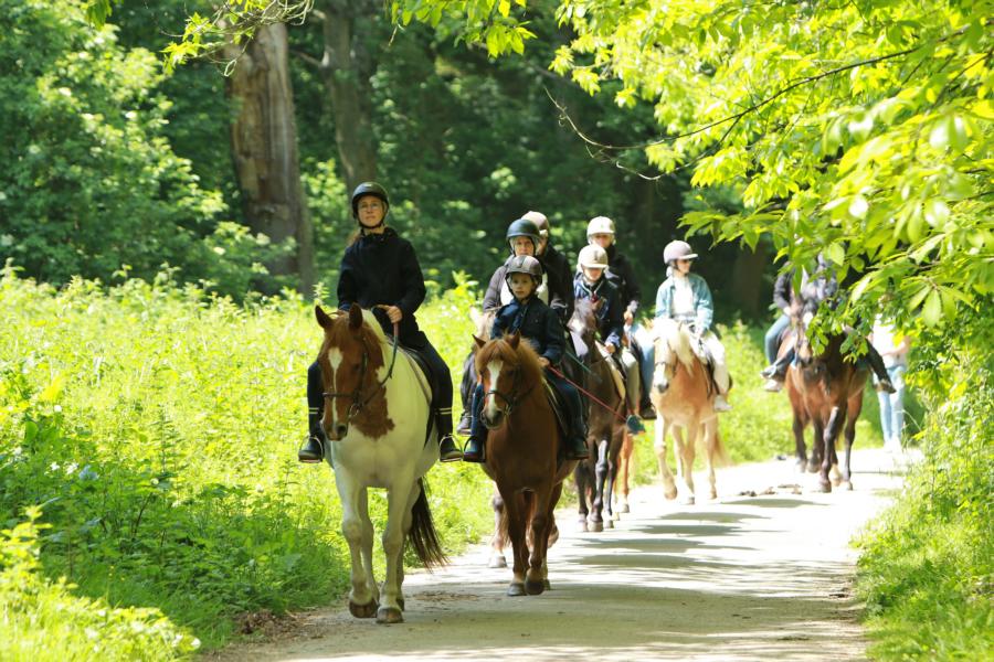 Zu Pferd zum Plage du Tilleul