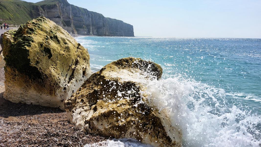 Kreidestück am Strand von du Tilleul 