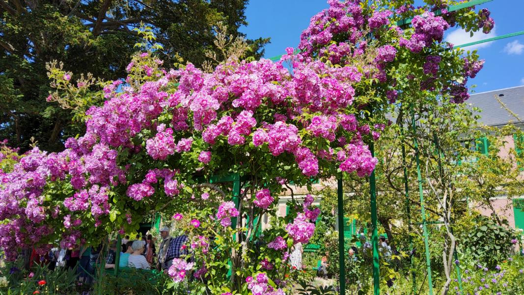 Garten vor dem Wohnhaus von Monet