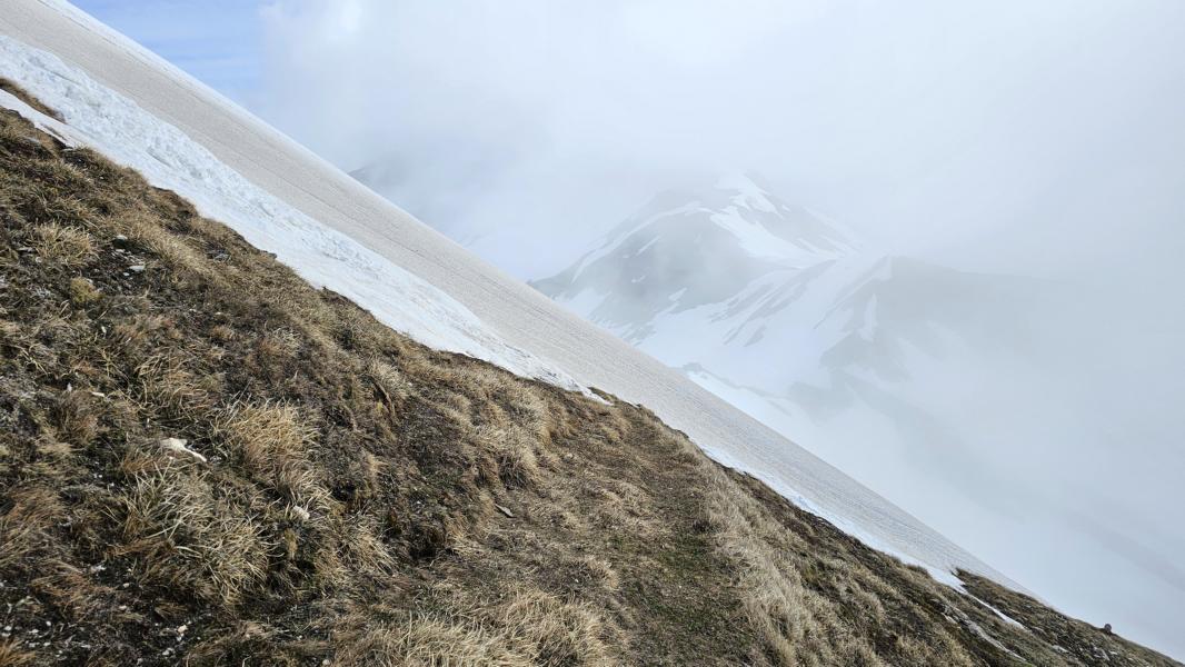 Je höher man fährt, desto mehr ist die Landschaft von geschlossenen Schneefeldern bedeckt. Die Vegetation verschwindet unter einer dicken Schneedecke.