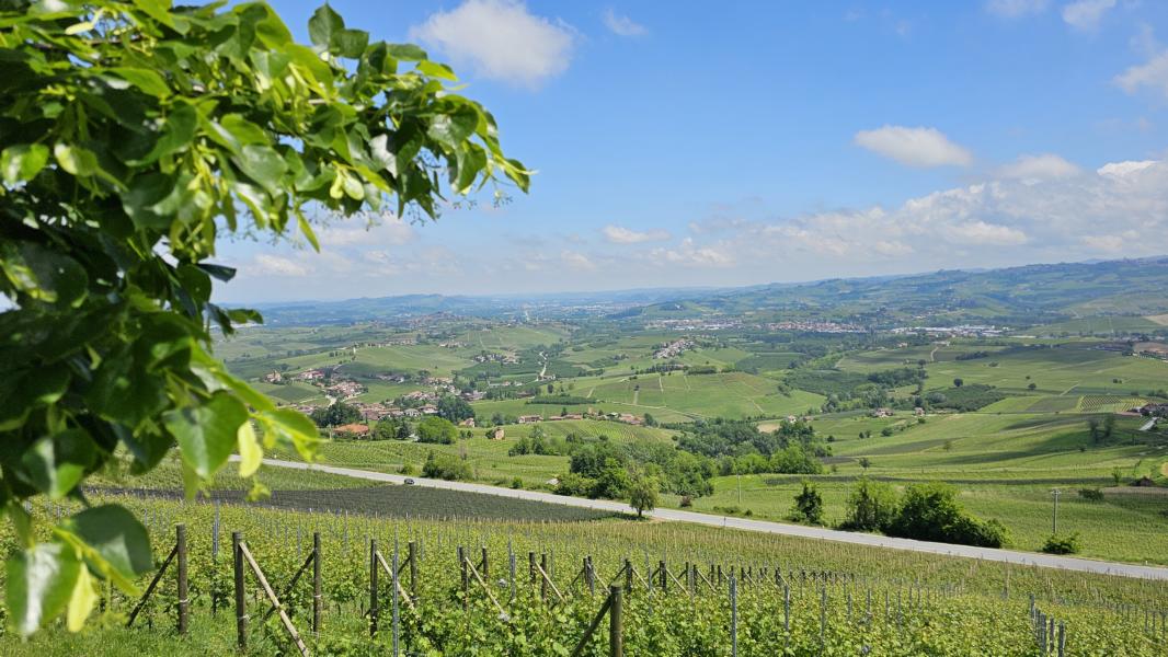 Blick von La Morra in die Weinanbaugebiete