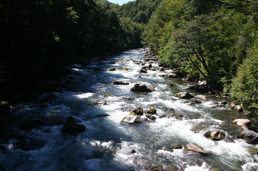 Aufbrausend sind die Wassermassen des Rio Cautin.