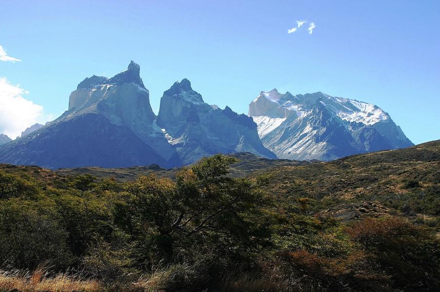 Hier brannte es zum Glück nicht. Die Guanacos und andere Pflanzenfresser finden ein reichliches  Nahrungsangebot.