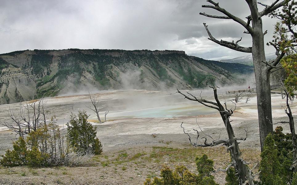 Blick auf die Fläche der Mammoth Hot Springs.