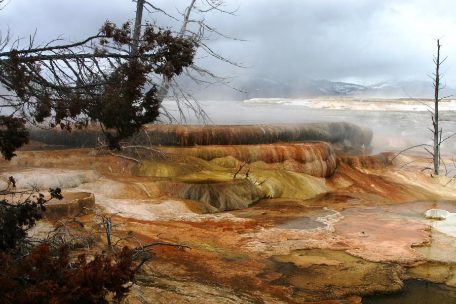 Die Anordnung der Terrassen hängt sowohl von der Art der Ablagerungen und von der Wachstumsgeschwindigkeit der Mineralien als auch von der Fließrichtung und den Wasserturbulenzen ab. 