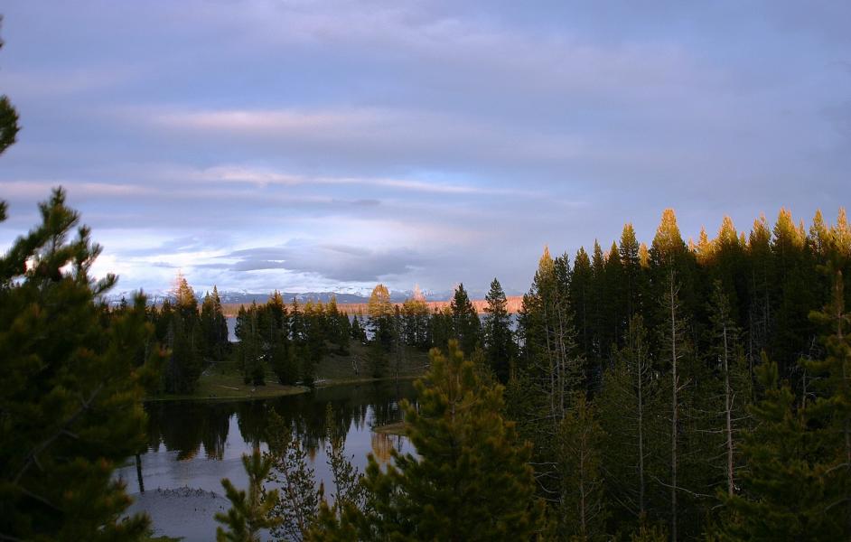 Die Abendsonne erreicht noch die Baumwipfel.