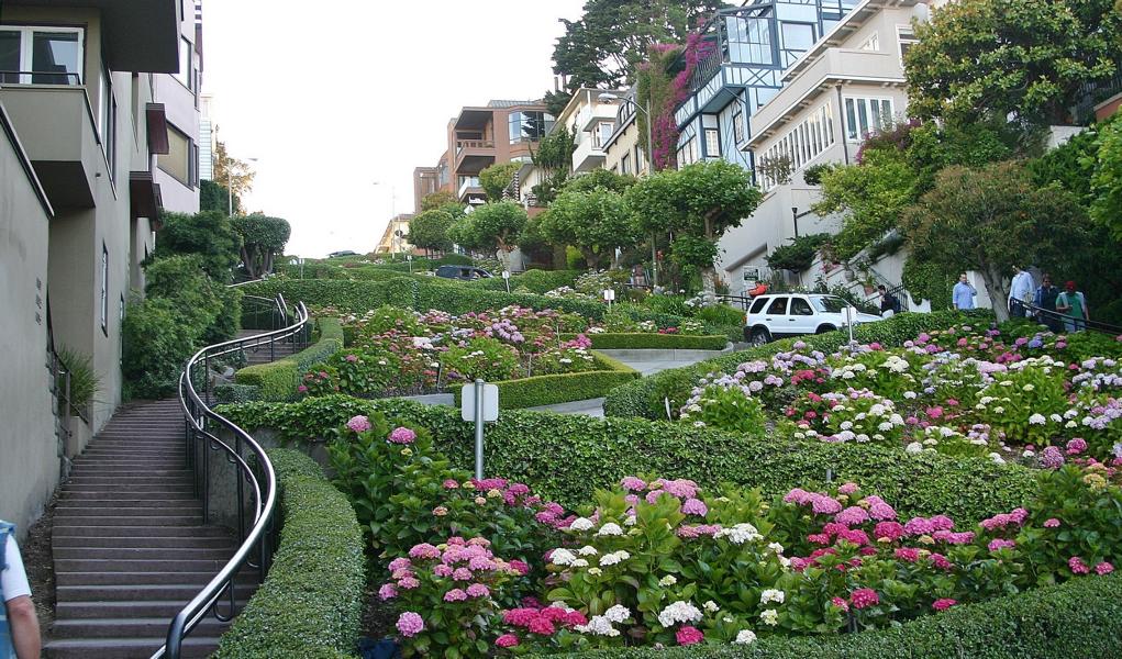 An der Ecke Hyde Street windet sie sich in steilen Mini-Serpentinen die Lombard Street zu Tal, und das zwischen farbenfrohen, üppig bepflanzten Blumenbeeten, die auf jeder Gartenschau bestehen könnten. Ein Muß ist die Straße vor allem für Hortensien-Freunde! 