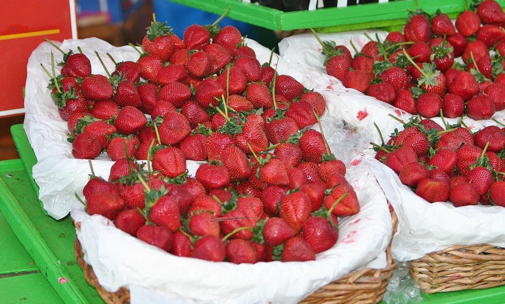 Uns schmeckten diese Erdbeeren vorzüglich.