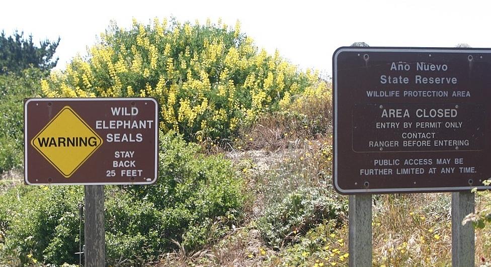 Von San Francisco gelangt man auf einfachem Weg zur Año Nuevo State Reserve. Hierzu folgt man dem Highway 1 Richtung Süden und begibt sich zwischen den Ortschaften Half Moon Bay und Santa Cruz gen Westen bis zum Zielort. Für die gesamte Fahrt sollten 1,5 Stunden eingeplant werden. 