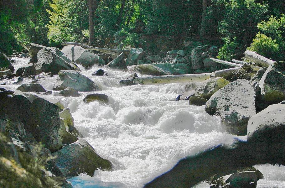 Der Tuolumne River fließt durch den gesamten Nordteil des Parks.