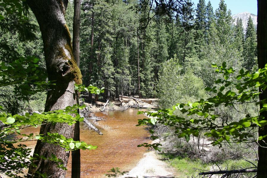 Der Merced River fließt streckenweise ruhig dahin.