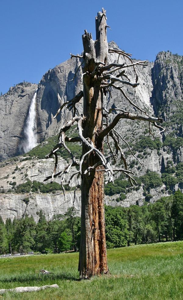 Yosemite Falls