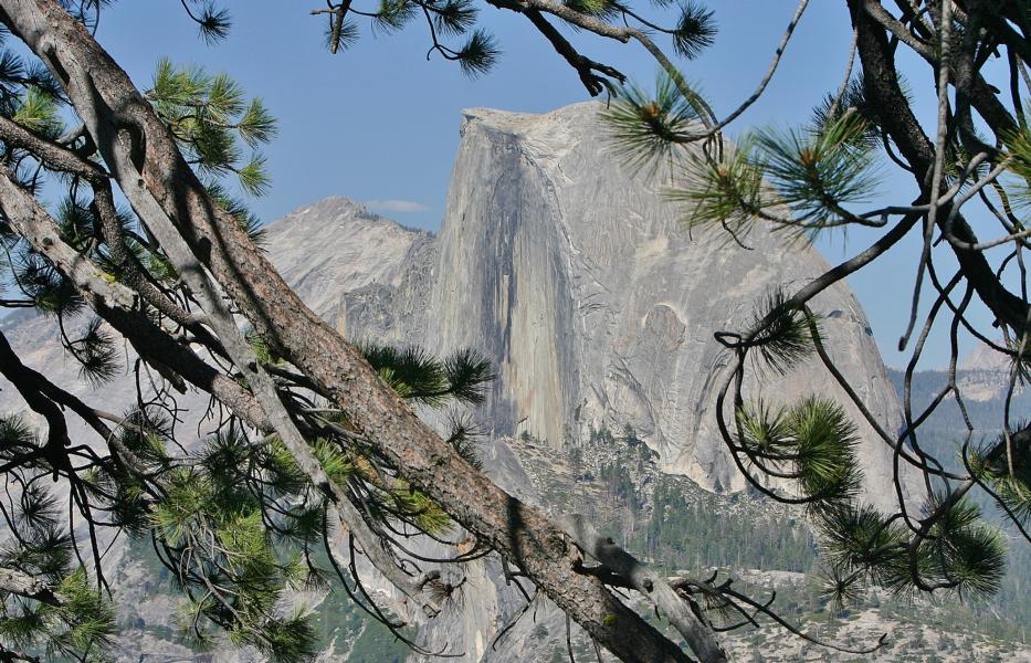 Selbst an dieser steilen Wand des Half Dome waren Kletterer zu sehen.