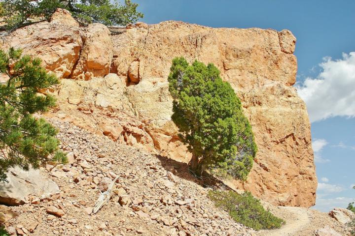 Das Wanderwegsystem ist gut ausgebaut und beschildert.