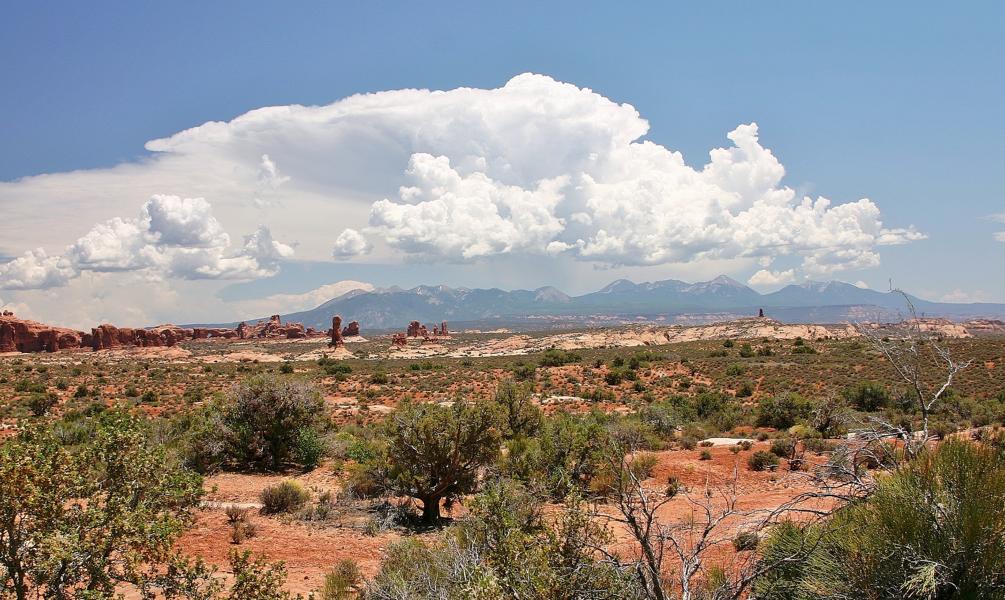 Blick in die Weite des Arches Nationalpark.