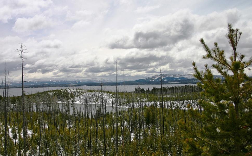 Der Jackson Lake und in der Ferne die Teton-Bergkette.