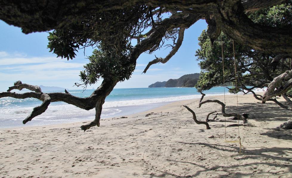 Bei Waipu befindet sich der Langs Beach, ein guter Ort für einen Aufenthalt am fast menschenleeren Strand.