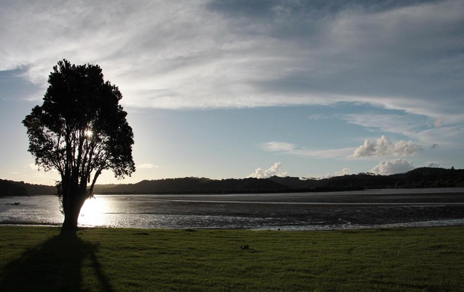 Noch vor Sonnenuntergang unternahmen wir einen kleinen Spaziergang in der Bay of Islands.