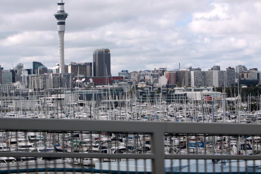 Yachthafen von Auckland.