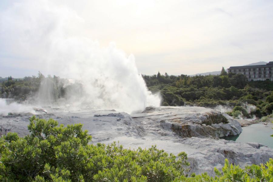 Der bekannteste der Geysire des Gebietes, der Pohuto-Geysir, bricht etwa stündlich aus und schleuderte Wasser bis zu 30 Meter hoch, meist aber deutlich weniger.