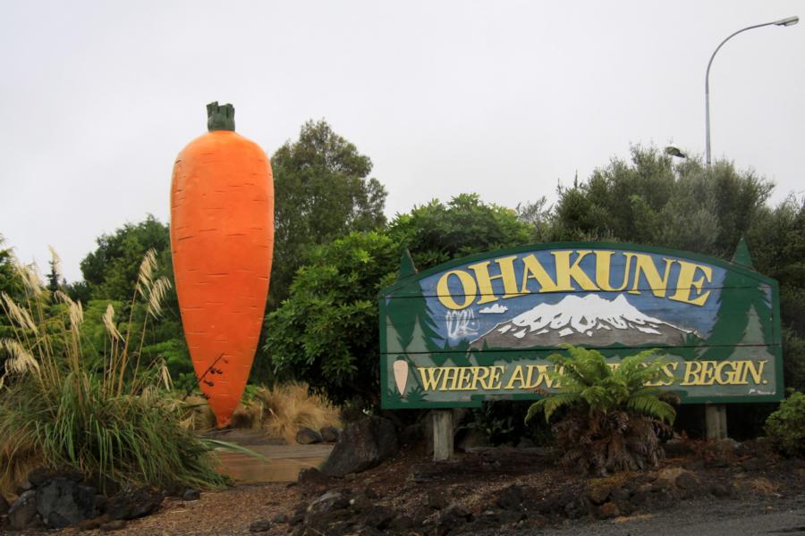 Ohakune ist eine Kleinstadt. Sie liegt am Südende des Tongariro-Nationalparks nahe des Südwesthangs des aktiven Vulkans Ruapehu. Am Südrand der Stadt befindet sich eine große Nachbildung einer Karotte als Zeichen dafür, dass das Gebiet einen großen Teil der Möhren Neuseelands liefert.