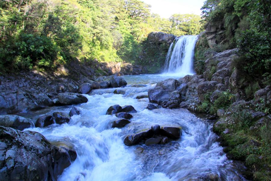 Tawhai Falls