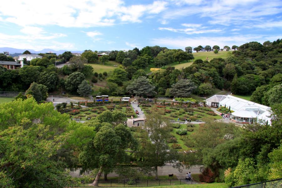 Blick auf den Rosengarten und die Gewächshäuser mit einer prachtvollen Begonienausstellung.