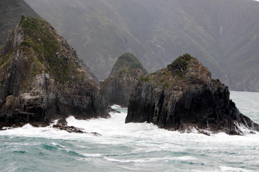 Am Marlborough Sound entlang wehten kräftige, eiskalte Winde.