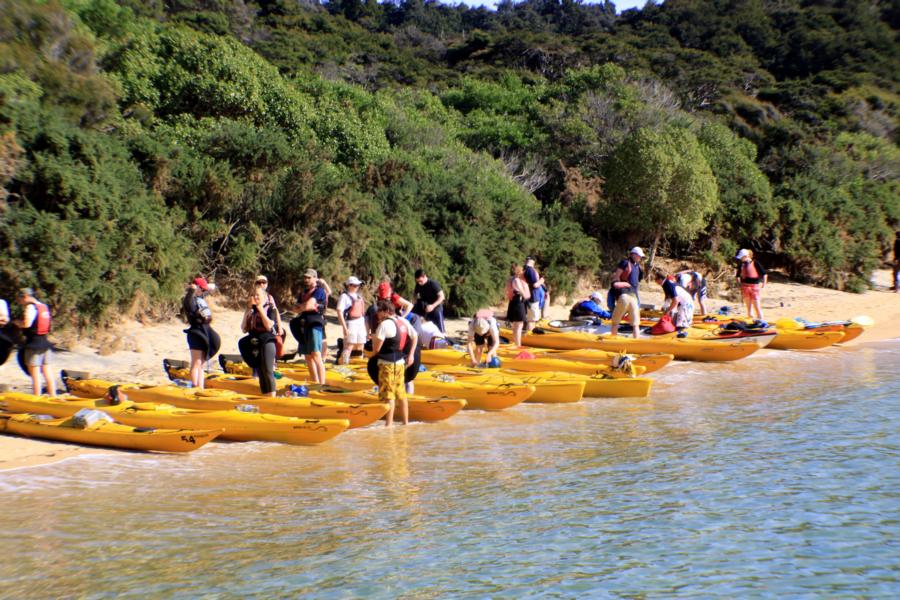 Entlang der famosen Abel Tasman-Küste werden geführte Kajak-Touren angeboten.