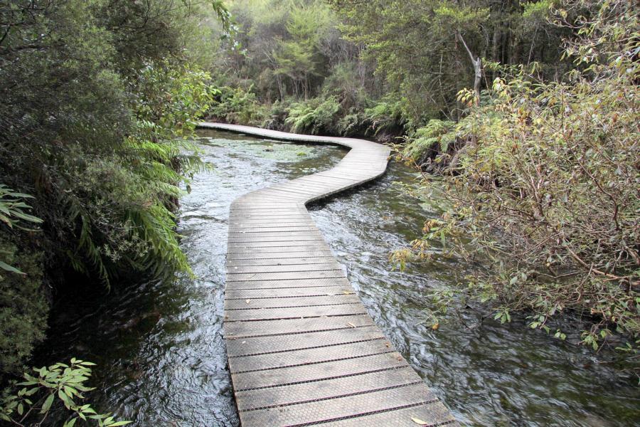 Neuseelands größte und klarste Süßwasserquelle heißt Waikoropupu Springs oder kurz: Pupu Springs. Auf Laufstegen kann man die Wassermassen besichtigen.