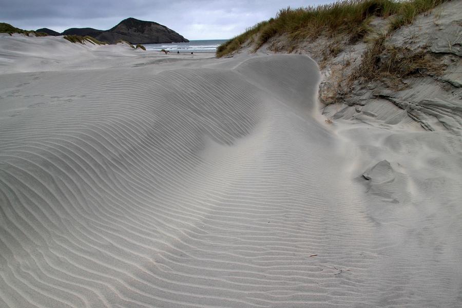 Der Weg führt über diese Dünenlandschaft zum Strand.