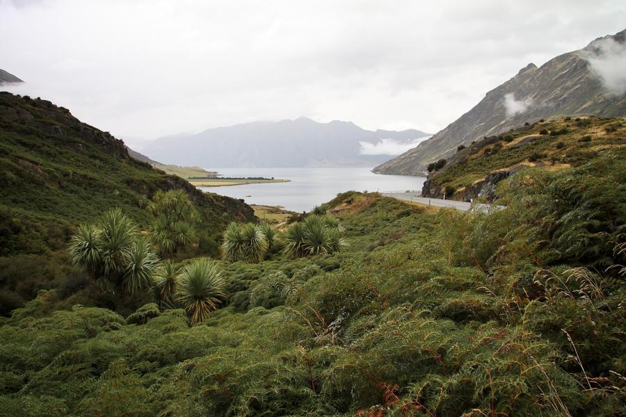 Zufahrt zum Lake Wanaka.