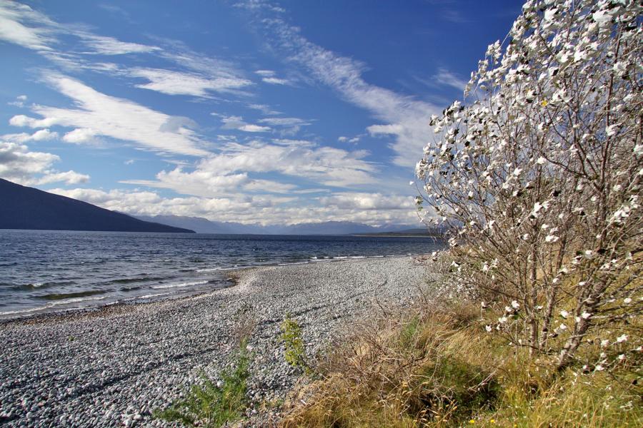 Lake Te Anau