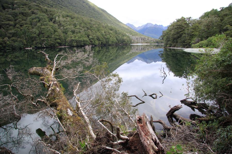 Am Lake Gunn.