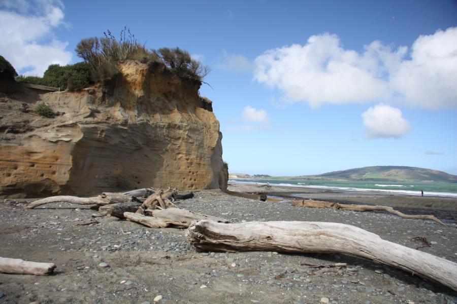 Reichlich angeschwemmtes Strandgut am Gemstone Beach bei Orepuki.